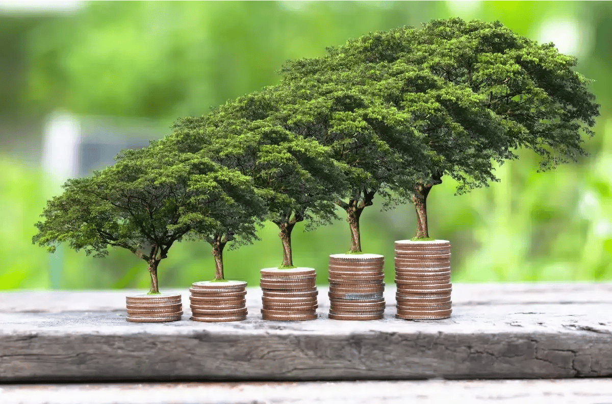 Financiación Sostenible para Empresas | WorkCapital