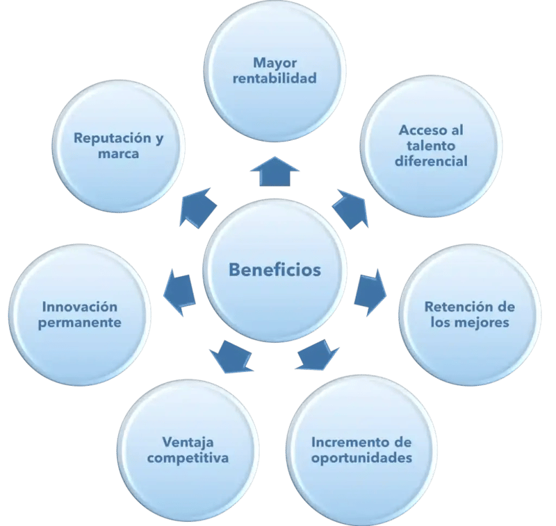 Necesitas financiacion para expandir tu negocio - Esquema