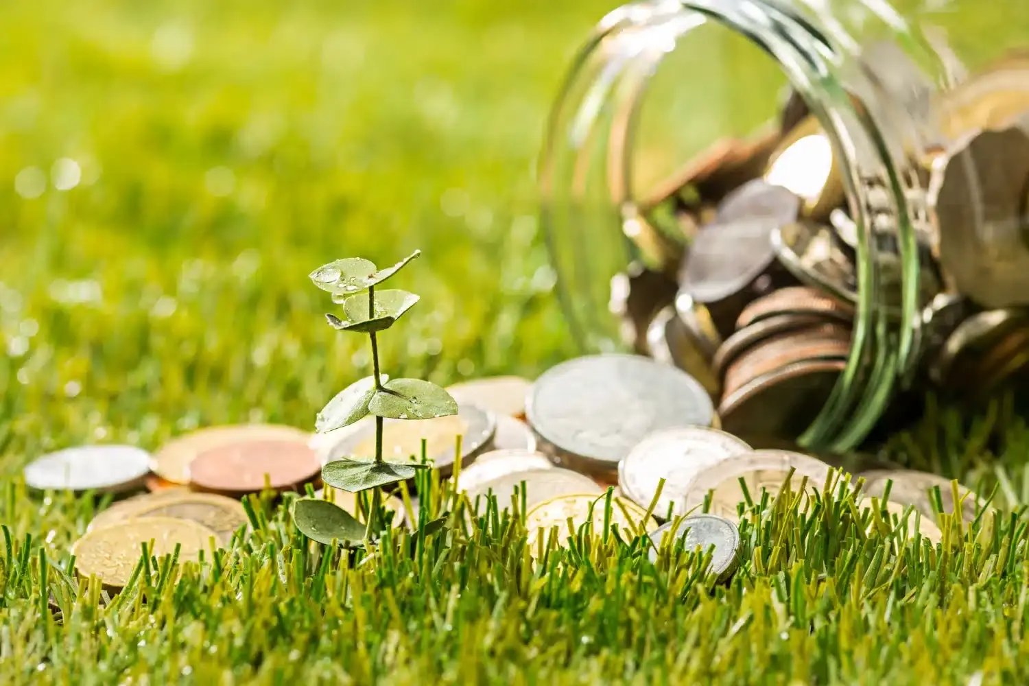 ¿Qué es la financiación alternativa?