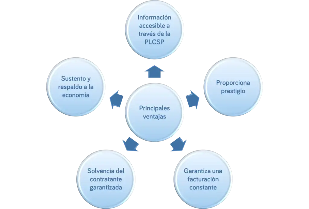 Que es una licitacion publica y como presentarse - Esquema2